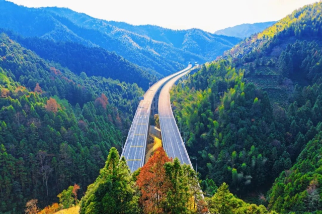 1767107404610406.jpg 640 (13).jpg